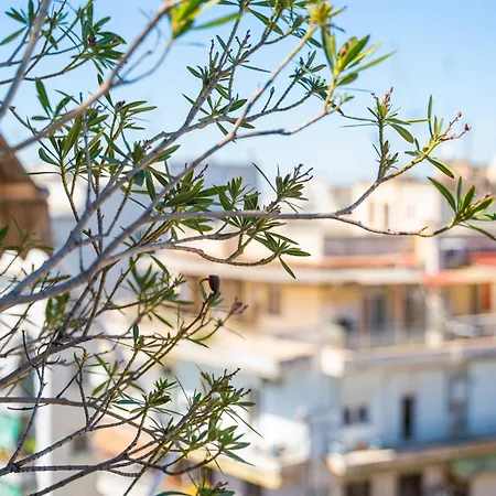 Hephaestus Veranda In The Center By Binobi! * Thessaloniki